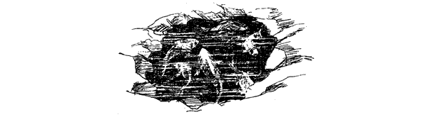 За ядовитыми змеями. Дьявольское отродье - i_058.png