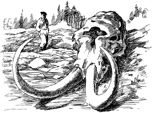 За ядовитыми змеями. Дьявольское отродье - i_060.png