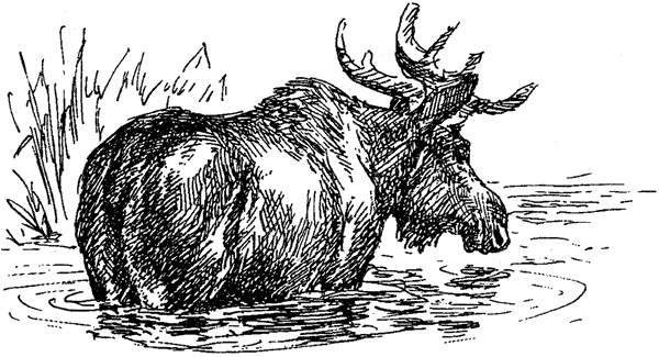 За ядовитыми змеями. Дьявольское отродье - i_061.png