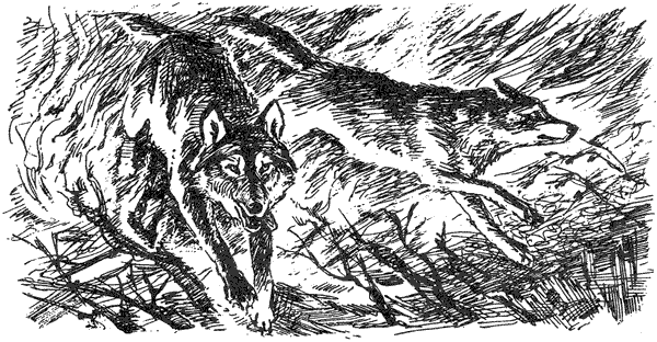 За ядовитыми змеями. Дьявольское отродье - i_062.png