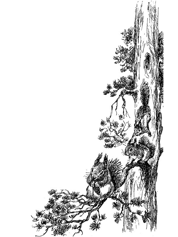 За ядовитыми змеями. Дьявольское отродье - i_063.png