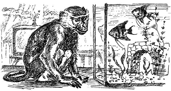 За ядовитыми змеями. Дьявольское отродье - i_066.png