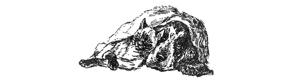 За ядовитыми змеями. Дьявольское отродье - i_067.png