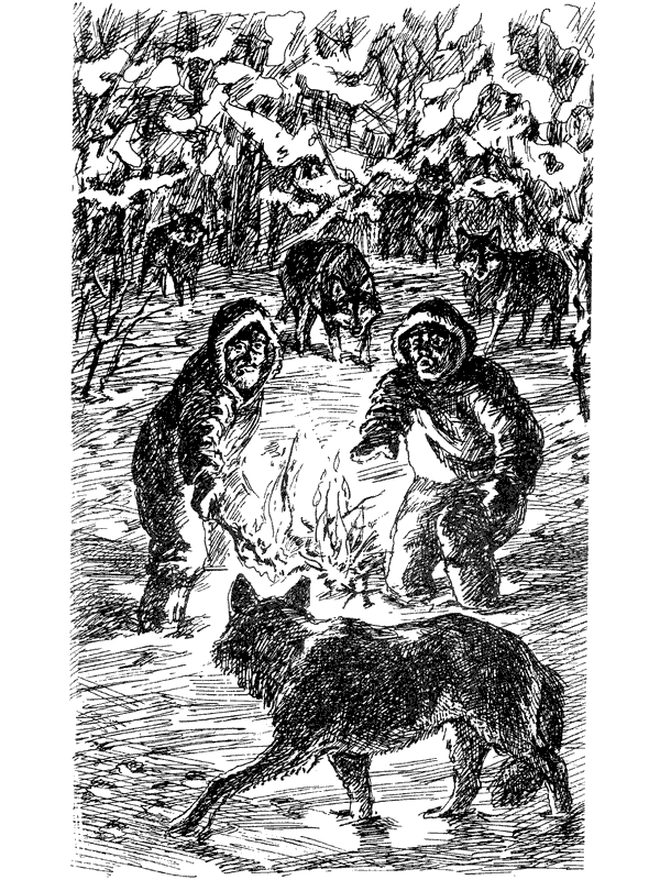 За ядовитыми змеями. Дьявольское отродье - i_069.png