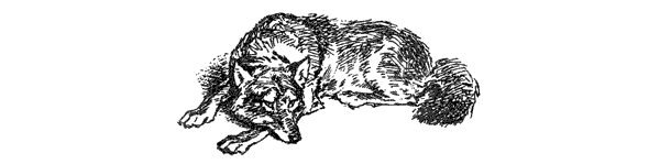 За ядовитыми змеями. Дьявольское отродье - i_071.png