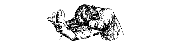 За ядовитыми змеями. Дьявольское отродье - i_075.png