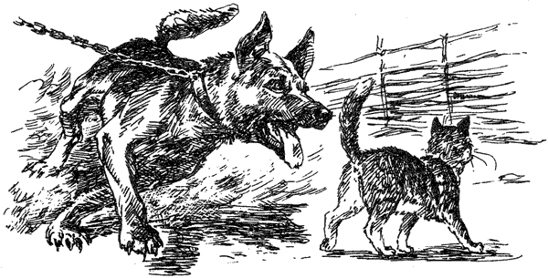 За ядовитыми змеями. Дьявольское отродье - i_076.png