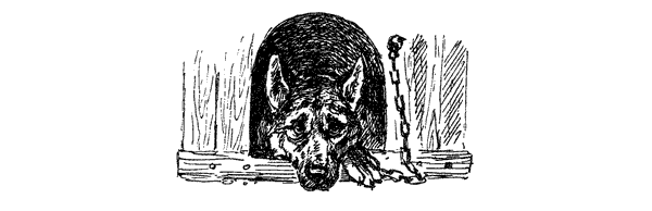 За ядовитыми змеями. Дьявольское отродье - i_077.png