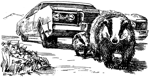 За ядовитыми змеями. Дьявольское отродье - i_078.png