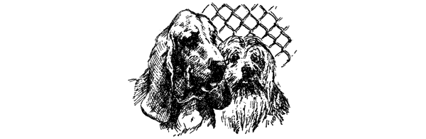 За ядовитыми змеями. Дьявольское отродье - i_079.png