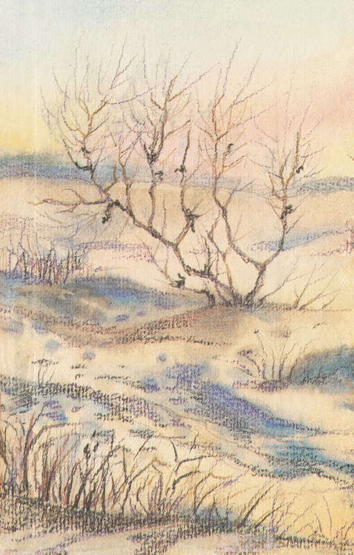 За ядовитыми змеями. Дьявольское отродье - i_080.jpg