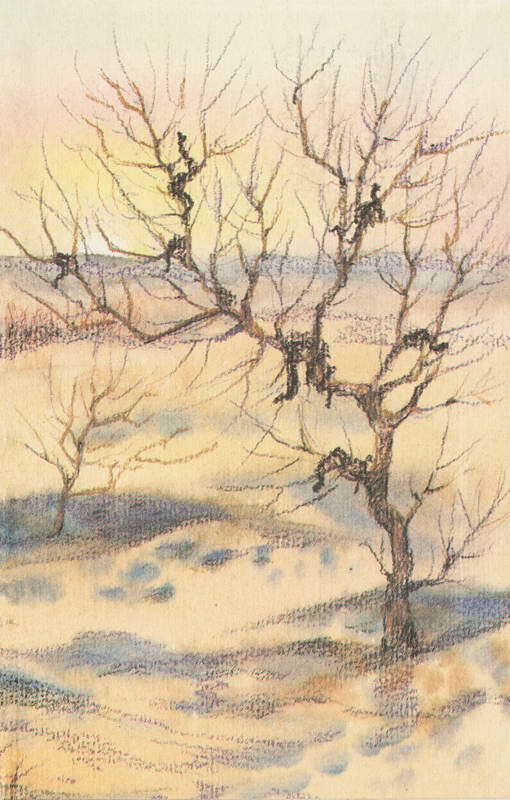 За ядовитыми змеями. Дьявольское отродье - i_081.jpg