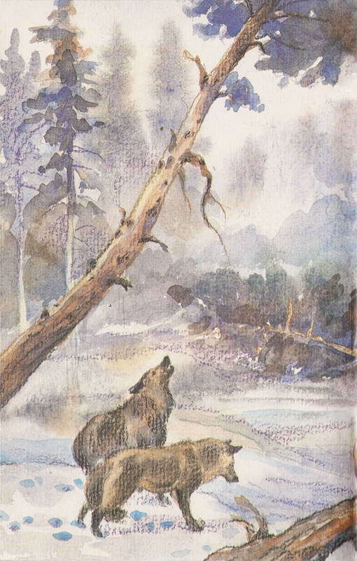 За ядовитыми змеями. Дьявольское отродье - i_082.jpg