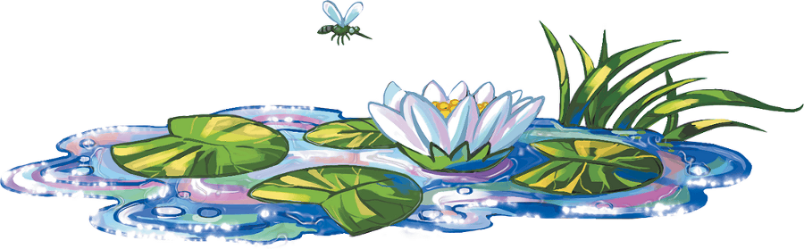 Кефир, Гаврош и Рикошет, или Приключения енотов-инопланетян - i_023.png