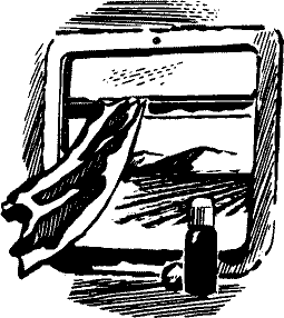 Новогодний подарок - pict_004.png