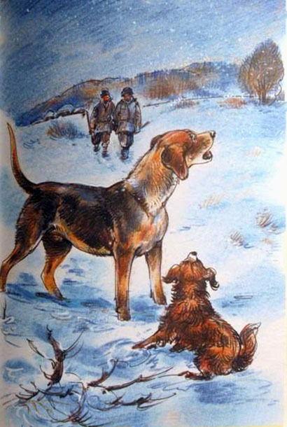 Завирайка - i_001.jpg