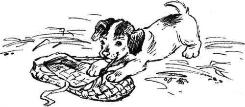 Верный друг. Рассказы о собаках - image13.jpg