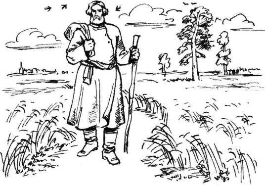 Верный друг. Рассказы о собаках - image16.jpg