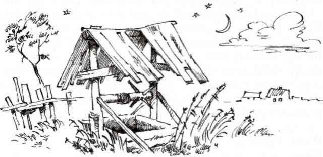 Верный друг. Рассказы о собаках - image3.jpg