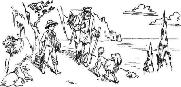 Верный друг. Рассказы о собаках - image5.jpg