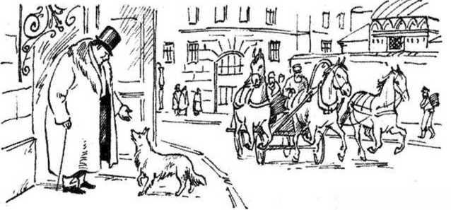 Верный друг. Рассказы о собаках - image9.jpg