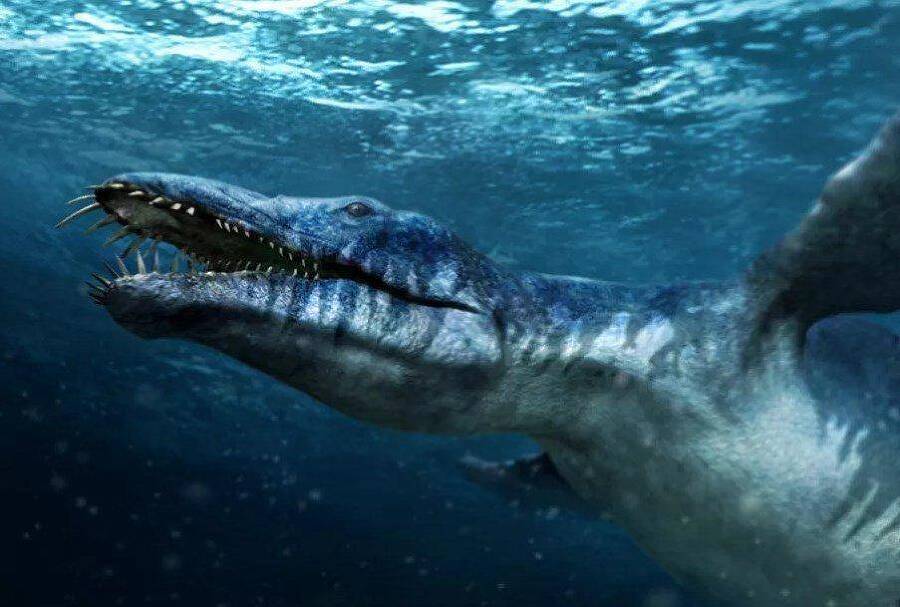 "Фантастика 2025-65". Компиляция. Книги 1-29 (СИ) - i_003.jpg