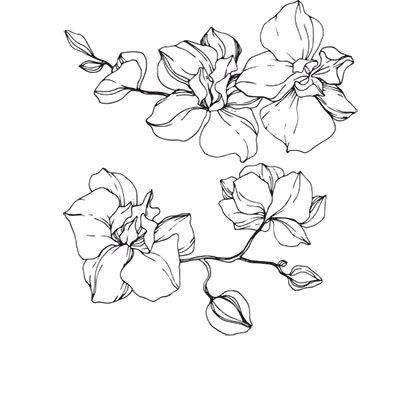 Вкус музыки. Ванильный - i_016.jpg