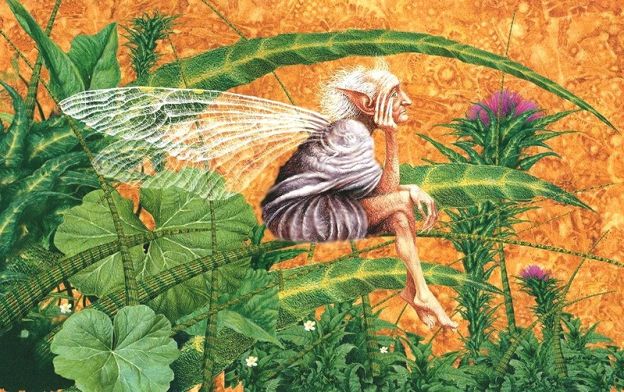 Сказки Туманного Альбиона - i_018.jpg