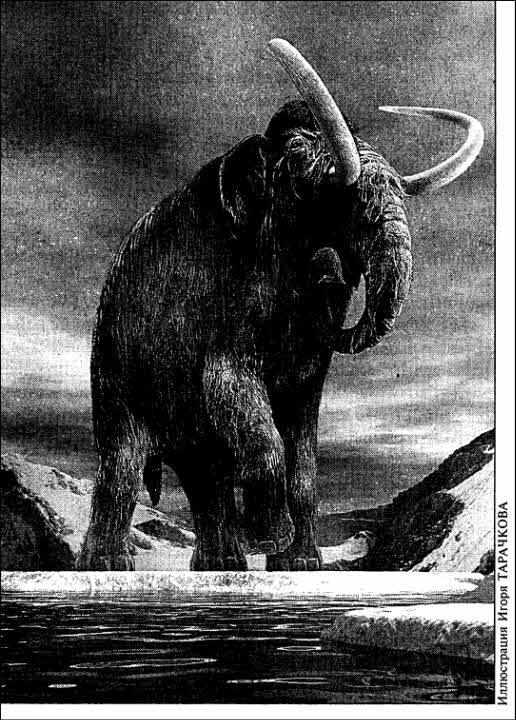 «Если», 2003 № 08 - i_002.jpg