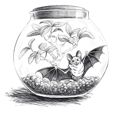 Солнце, уснувшее в ладонях ведьмы - i_009.png