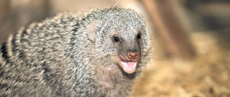 Победа от Виктории (СИ) - image12.jpg