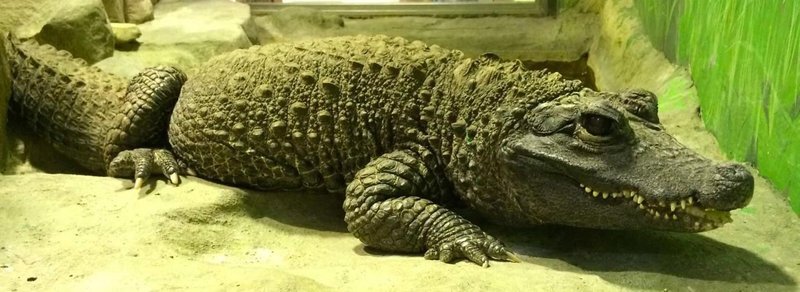 Победа от Виктории (СИ) - image13.jpg