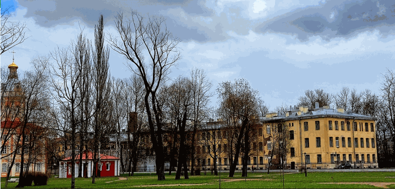 Раненая из другого мира (СИ) - image1.png