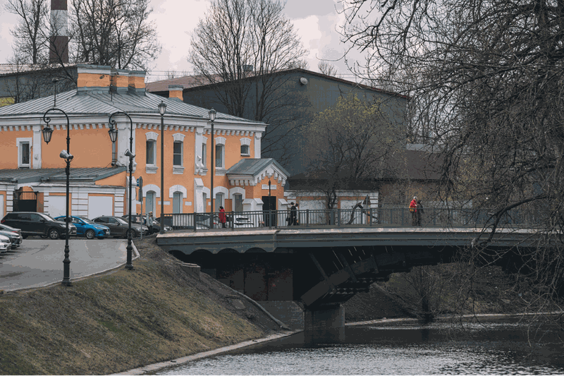 Раненая из другого мира (СИ) - image2.png