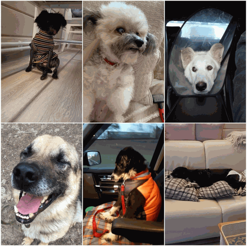 Раненая из другого мира (СИ) - image3.png