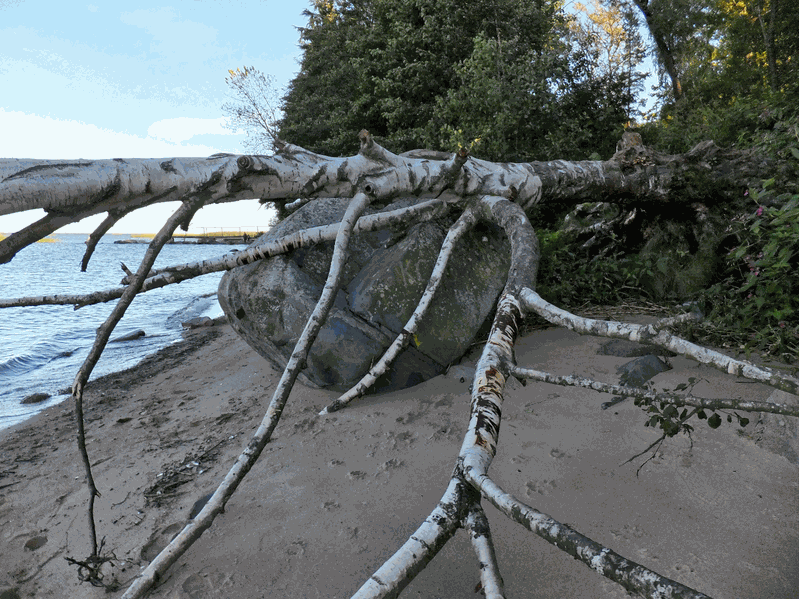 Раненая из другого мира (СИ) - image7.png