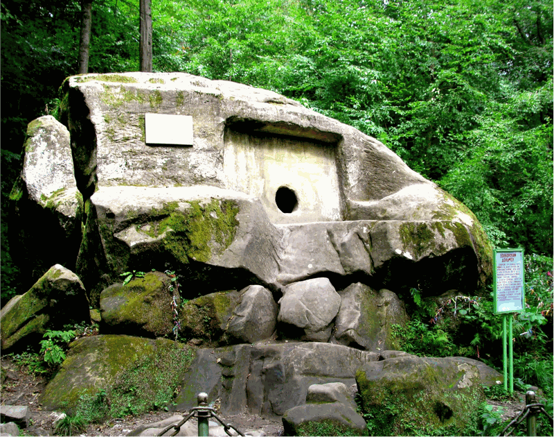 Раненая из другого мира (СИ) - image12.png