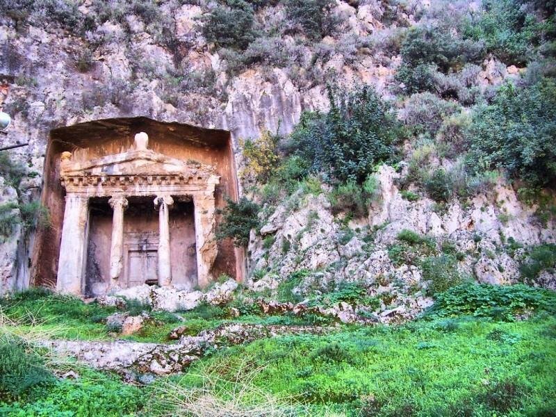 Раненая из другого мира (СИ) - image22.jpg