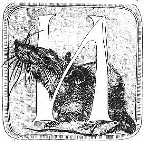 Фантастика. Журнал "Парус" [компиляция] - i_065.jpg