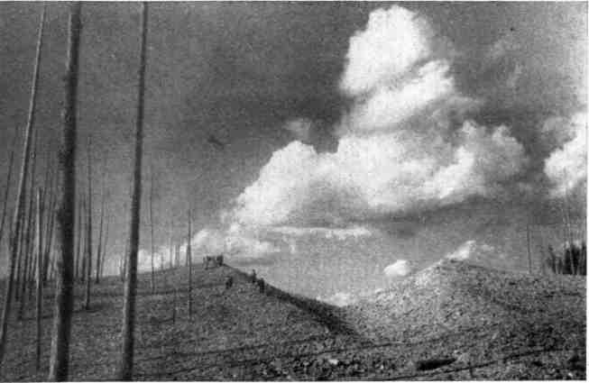 К себе возвращаюсь издалека... - img_14.jpeg