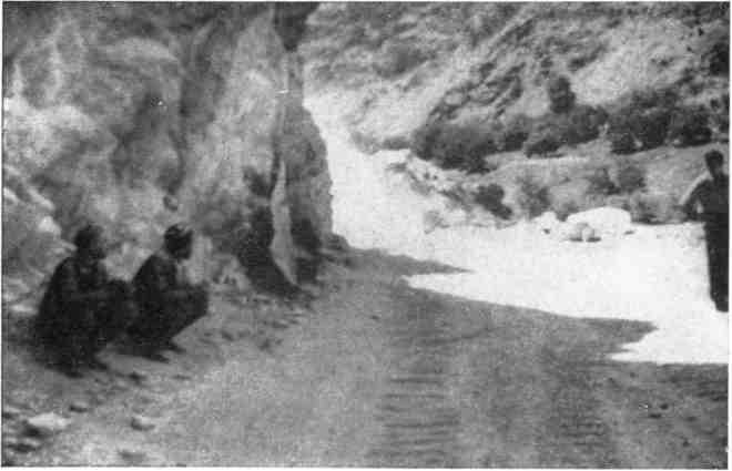 К себе возвращаюсь издалека... - img_17.jpeg