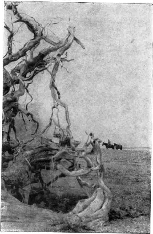 К себе возвращаюсь издалека... - img_19.jpeg