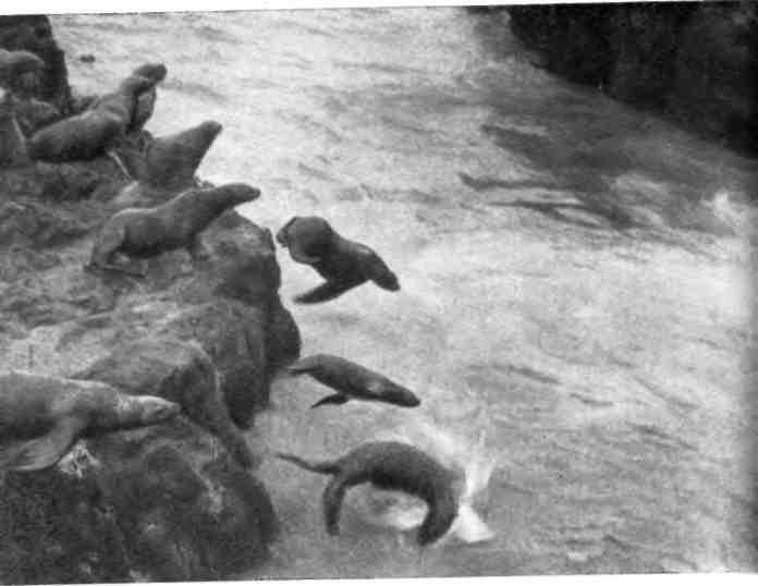 К себе возвращаюсь издалека... - img_20.jpeg