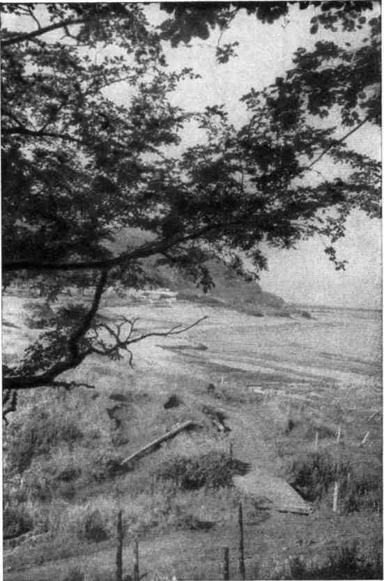 К себе возвращаюсь издалека... - img_22.jpeg