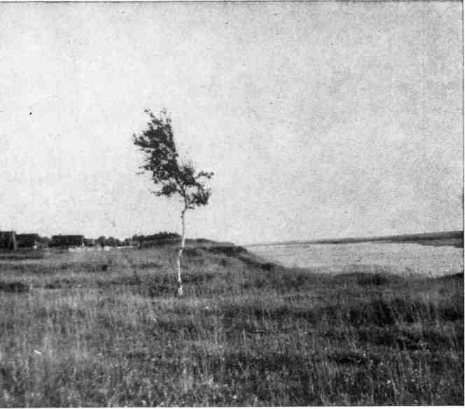 К себе возвращаюсь издалека... - img_26.jpeg