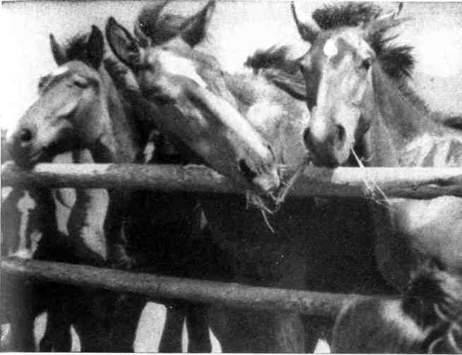 К себе возвращаюсь издалека... - img_27.jpeg