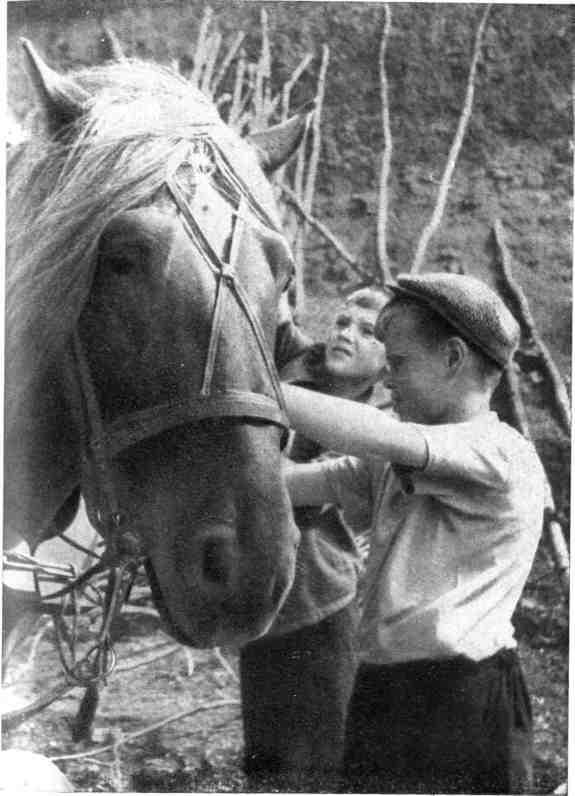 К себе возвращаюсь издалека... - img_29.jpeg