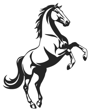 И снятся звезды лошадям - i_001.jpg