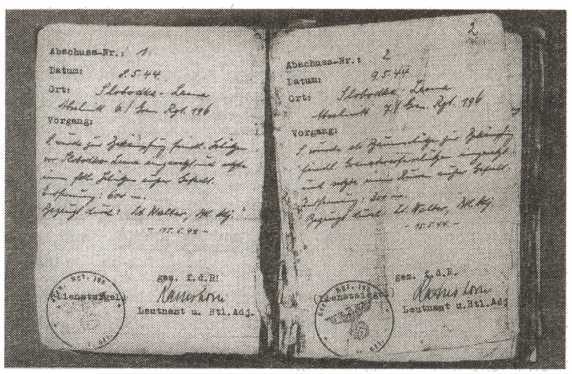 Железный крест для снайпера. Убийца со снайперской винтовкой - i_006.jpg