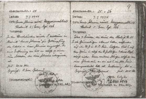 Железный крест для снайпера. Убийца со снайперской винтовкой - i_010.jpg